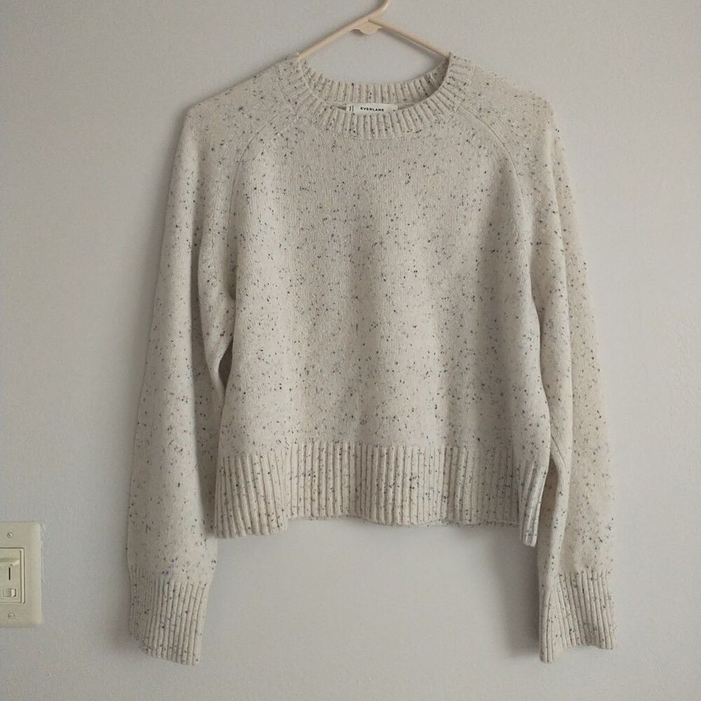 Everlane The Boxy Crew Neck In Cashmere Sweater Womens M White Specks Cropped